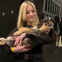 Photo de profil du pet sitter : Angelina D.