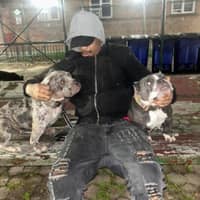 Sitter Profile Image: William H.