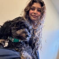 Sitter Profile Image: Saifa N.