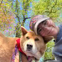 Sitter Profile Image: Theresa C.