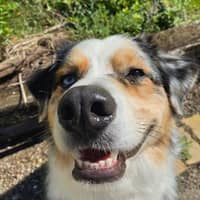 Sitter Profile Image: Mataya M.