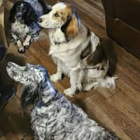 Sitter Profile Image: Mary Beth L.