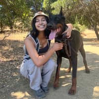 Sitter Profile Image: Shreya K.