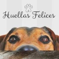 Foto del cuidador: Juan D.