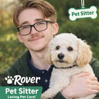 Photo de profil du pet sitter : Enzo L.