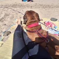 Sitter Profile Image: Maria Celeste B.