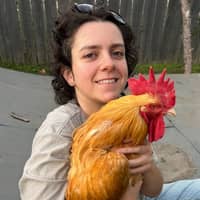 Sitter Profile Image: Sarah S.