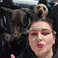 Sitter Profile Image: Emile S.