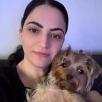 Profilbilde av hundepasser: Sirin A.