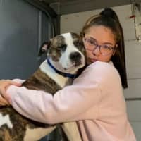 Sitter Profile Image: Makiya B.