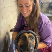 Sitter Profile Image: Melody R.