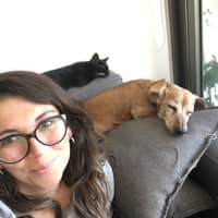 Foto del cuidador: Valentina A.