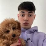 Sitter Profile Image: Adrià D.