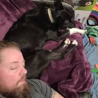 Sitter Profile Image: Tawny I.