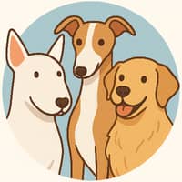 Immagine del profilo del sitter: Yasamin M.