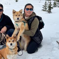 Sitter Profile Image: Seiyoung L.