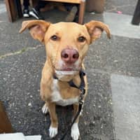 Sitter Profile Image: Michelle & Kyle S.