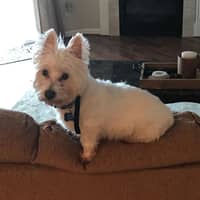 Sitter Profile Image: Linden O.