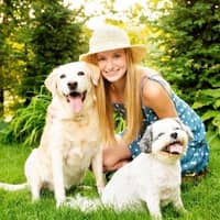 Sitter Profile Image: Charley Z.