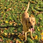 Sitter Profile Image: Charlotte L.