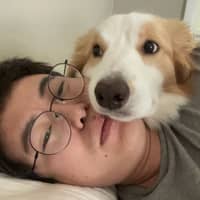 Sitter Profile Image: Boxiong Z.