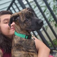 Sitter Profile Image: Lisa Marie O.