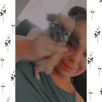 Sitter Profile Image: Amber L.