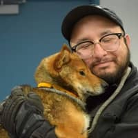 Sitter Profile Image: Nikolaas P.