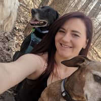 Sitter Profile Image: Shannon L.