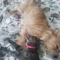 Sitter Profile Image: Haley E.