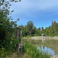 Sitter Profile Image: Hannah G.