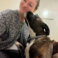 Immagine del profilo del sitter: Andrea D.