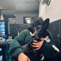 Immagine del profilo del sitter: Alice F.