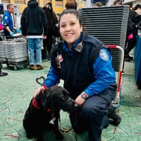 Sitter Profile Image: Erika C.