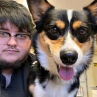 Sitter Profile Image: Connor C.