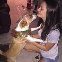 Sitter Profile Image: Amanda M.