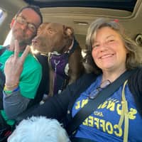 Sitter Profile Image: Laurie R.