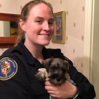 Sitter Profile Image: Rachel H.