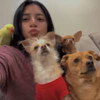 Sitter Profile Image: Orlany A.