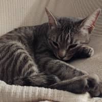 Foto del cuidador: Angela P.