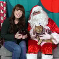 Sitter Profile Image: Jori W.