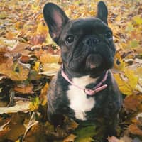 Sitter Profile Image: Maria R.