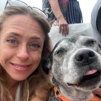 Sitter Profile Image: Laura F.