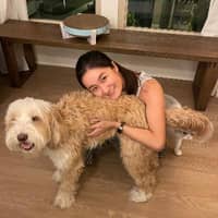 Sitterprofilbild: Qincen Y.