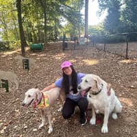 Sitter Profile Image: Aramis A.