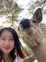 Photo de profil du pet sitter : Liangyu L.