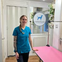 Sitter Profile Image: Katie T.