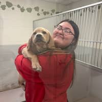 Sitter Profile Image: alexa l.