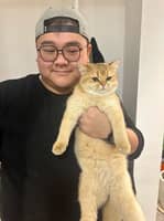 Photo de profil du pet sitter : William J.