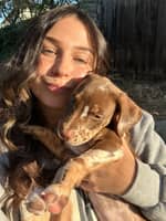 Sitter Profile Image: Alexis G.